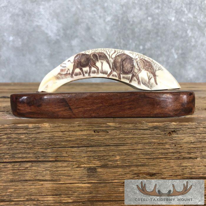 Scrimshaw Warthog Tooth Safari Decor For Sale