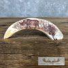Scrimshaw Warthog Tooth Safari Decor For Sale