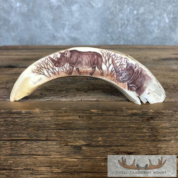 Scrimshaw Warthog Tooth Safari Decor For Sale