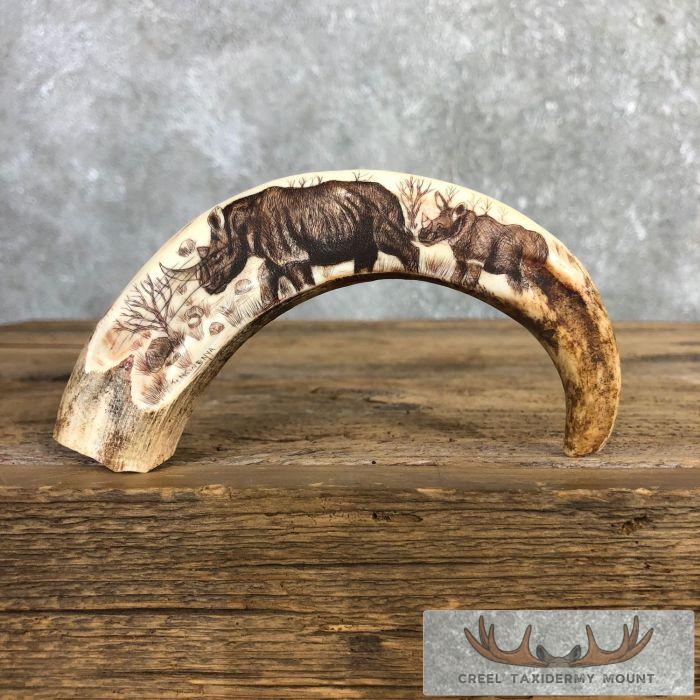Scrimshaw Warthog Tooth Safari Decor For Sale