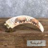 Scrimshaw Warthog Tooth Safari Decor For Sale