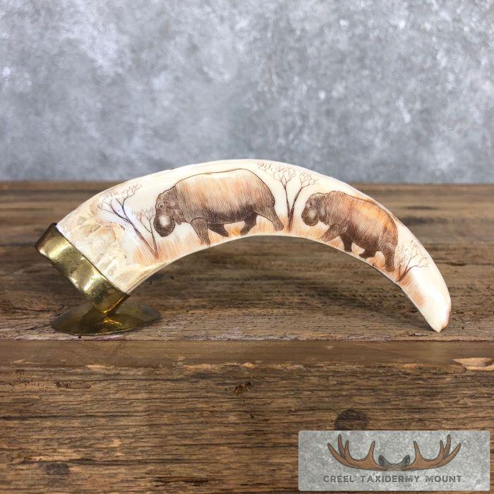 Scrimshaw Warthog Tooth Safari Decor For Sale