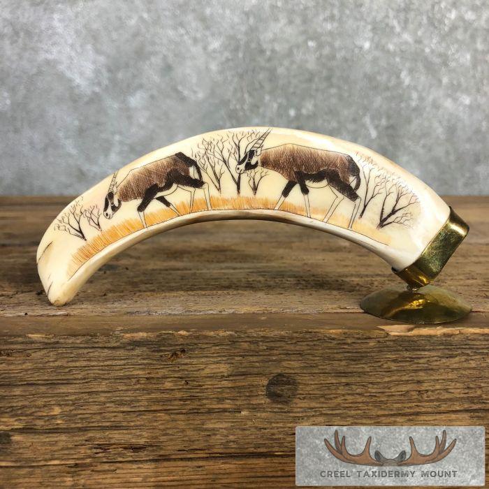 Scrimshaw Warthog Tooth Safari Decor For Sale