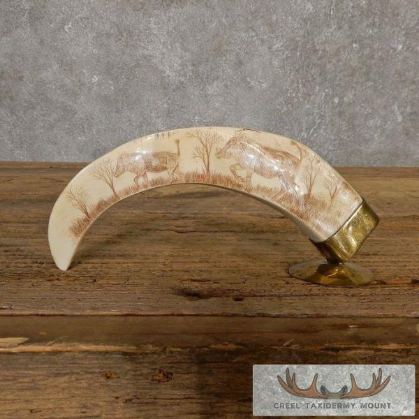 Scrimshaw Warthog Tooth Safari Decor For Sale