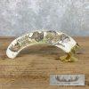 Scrimshaw Warthog Tooth Safari Decor For Sale - Image 2