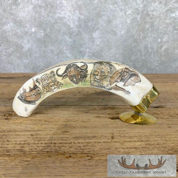 Scrimshaw Warthog Tooth Safari Decor For Sale - Image 2