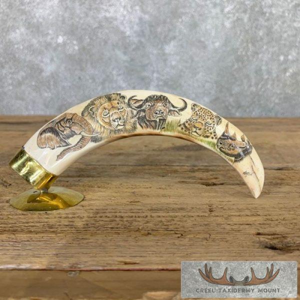Scrimshaw Warthog Tooth Safari Decor For Sale
