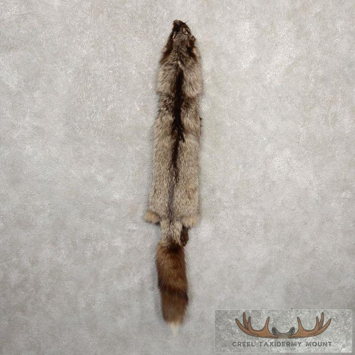 Silver Fox Tanned Hide For Sale