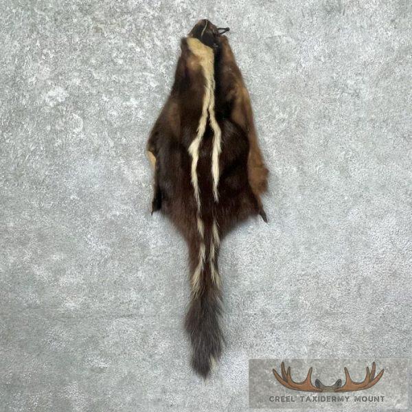 Skunk Dressing Tanned Hide For Sale