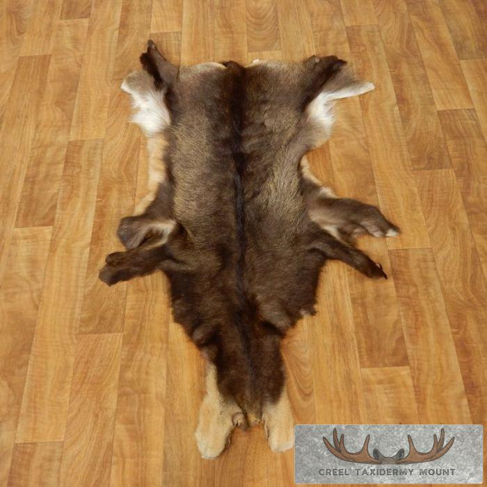 South Pacific Chamois Tanned Skin Taxidermy Rug For Sale