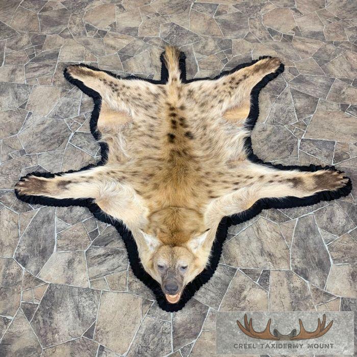 Spotted Hyena Full-Size Taxidermy Rug For Sale