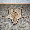 Spotted Hyena Full-Size Taxidermy Rug For Sale