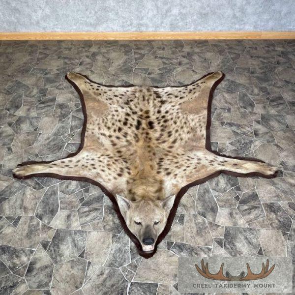 Spotted Hyena Full-Size Taxidermy Rug For Sale