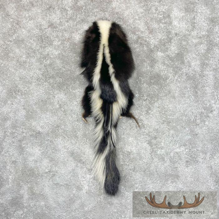 Striped Skunk Taxidermy Hat For Sale