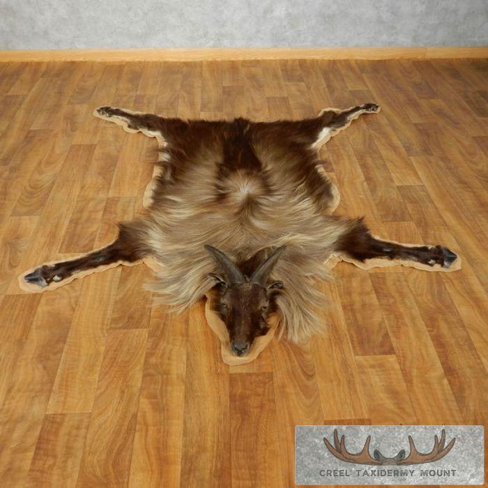 Himalayan Tahr Taxidermy Full Rug Mount For Sale