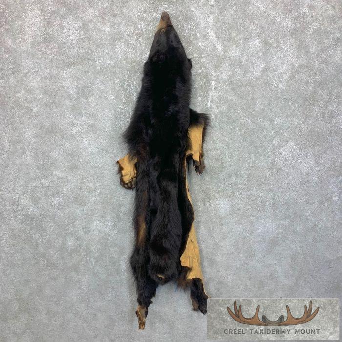 Tanned Black Bear Wall Hanging Pelt For Sale