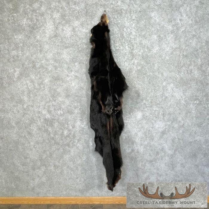Tanned Black Bear Wall Hanging Pelt For Sale