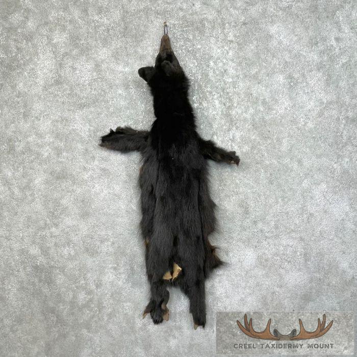 Tanned Black Bear Wall Hanging Pelt For Sale