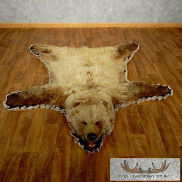 Toklat Grizzly Bear Full Size Taxidermy Rug Mount For Sale