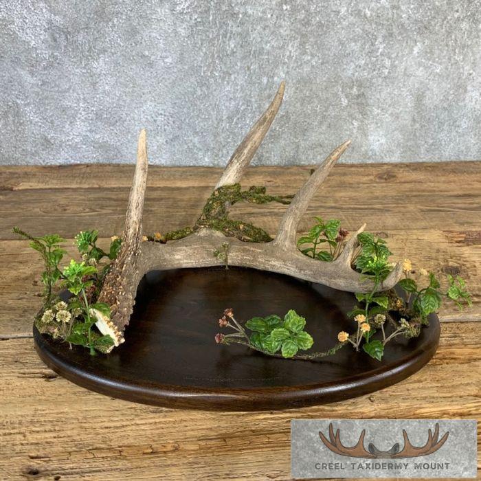 Whitetail Deer Antler Banquet or Wedding Table Centerpiece Set