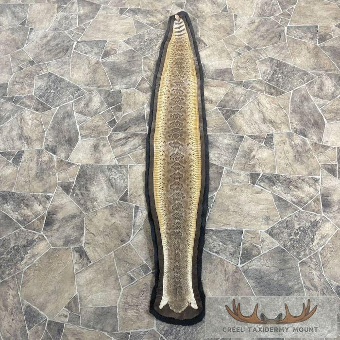 Western Diamondback Rattlesnake Taxidermy Rug For Sale
