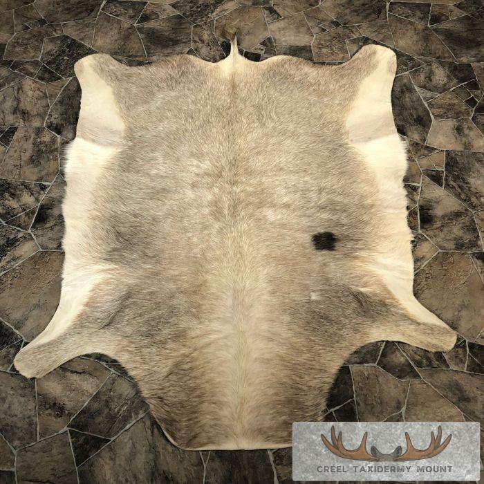 African White Blesbok Skin Taxidermy Rug For Sale