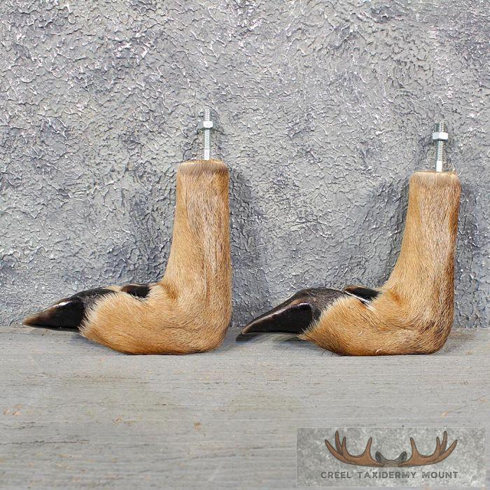 Cured Whitetail Deer Hooves – Pair, Taxidermy Feet With Mounting Hardware, Made In USA