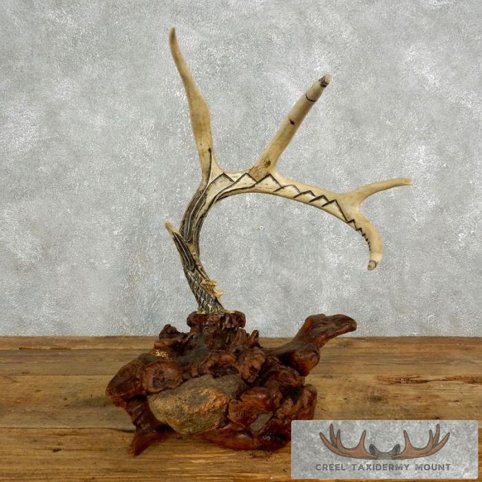 Whitetail Deer Antler Carving Necklace Organizer