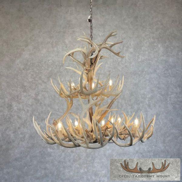 Twelve Light Whitetail Deer Antler Chandelier For Sale