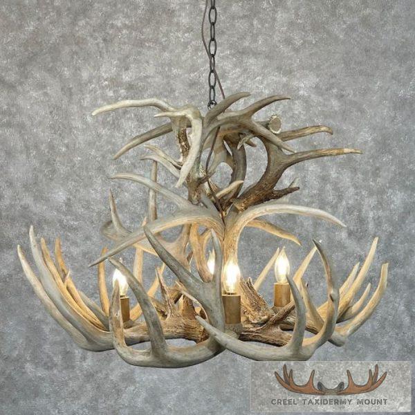 Four Light Whitetail Deer Antler Chandelier For Sale