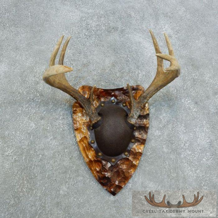 Whitetail Deer Antler Plaque Taxidermy Mount For Sale