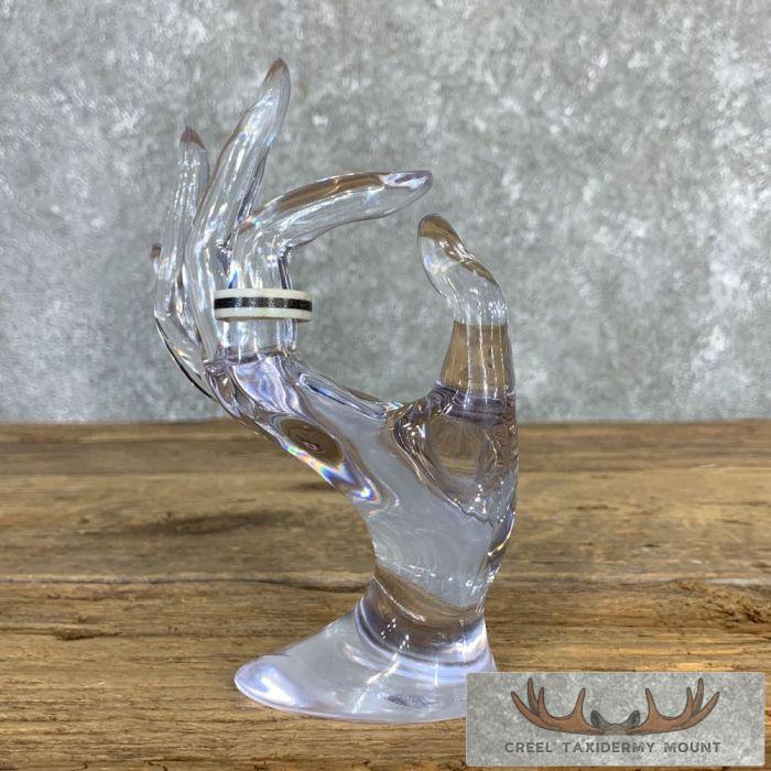 Whitetail Deer Antler Ring with Magnetite Inlay For Sale