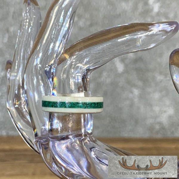 Whitetail Deer Antler Ring with Malachite Inlay For Sale - Image 2