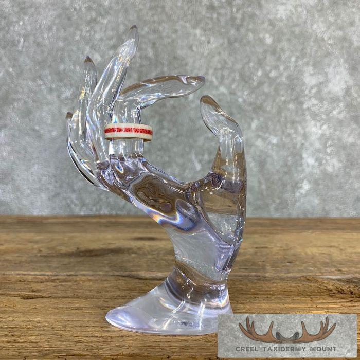 Whitetail Deer Antler Ring with Red Choral Inlay For Sale