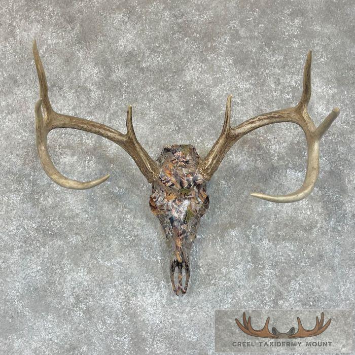 Whitetail Deer Reproduction Dipped Skull Taxidermy Mount For Sale