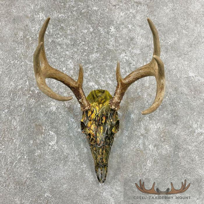 Whitetail Deer Skull Dipped Taxidermy Mount For Sale