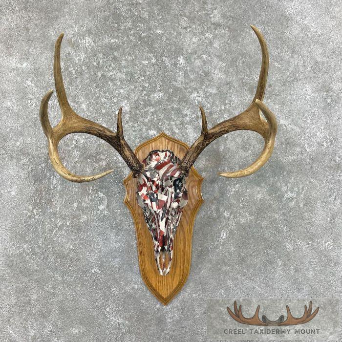 Whitetail Deer Skull Dipped Taxidermy Mount For Sale