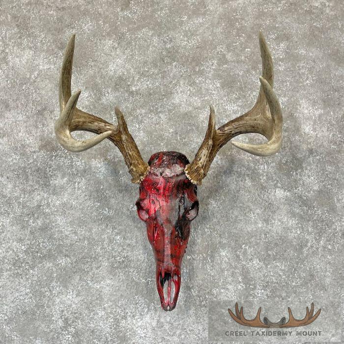 Whitetail Deer Skull Dipped Taxidermy Mount For Sale