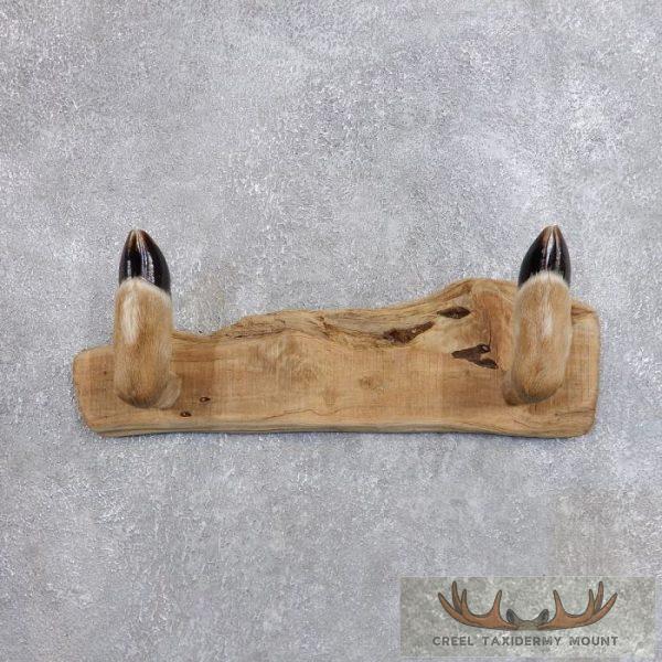 Whitetail Deer Hoof Gun Rack Taxidermy Mount For Sale