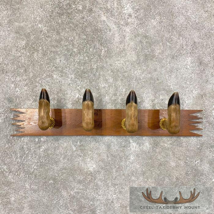 Whitetail Deer Hoof Gun Rack Taxidermy Mount For Sale - Creel Taxidermy