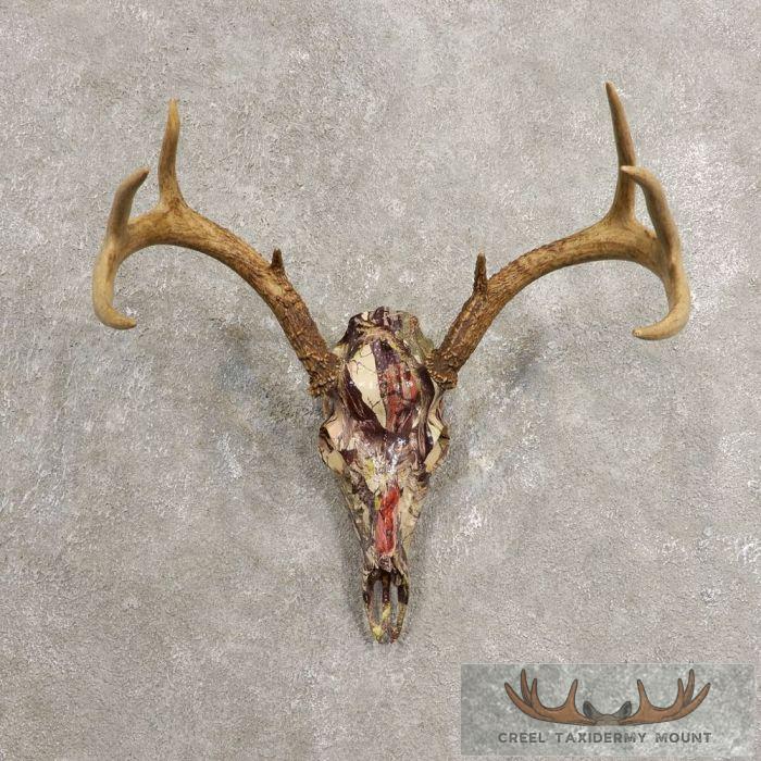 Whitetail Deer Reproduction Skull European Taxidermy Mount For Sale