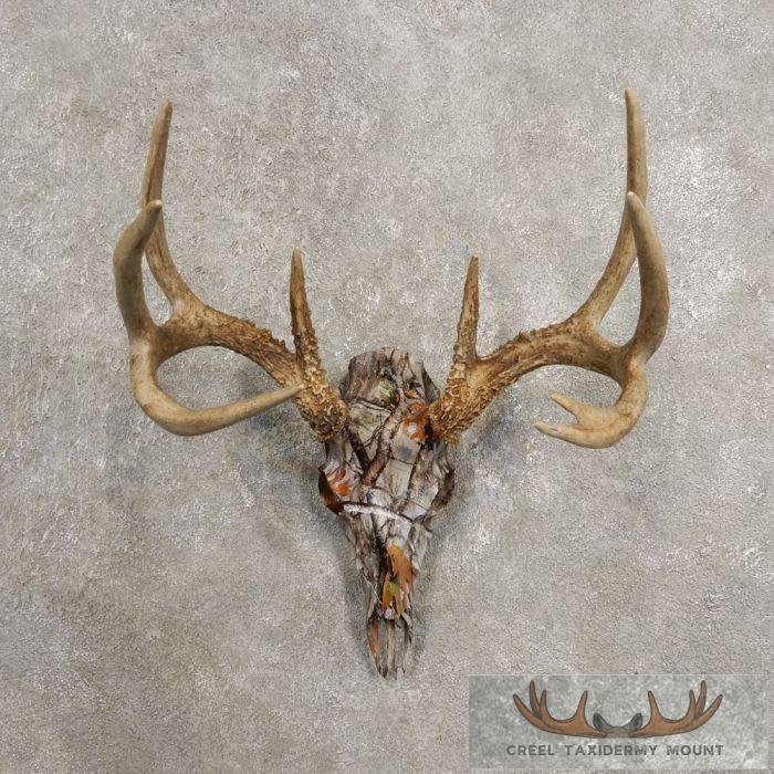 Whitetail Deer Reproduction Skull European Taxidermy Mount For Sale