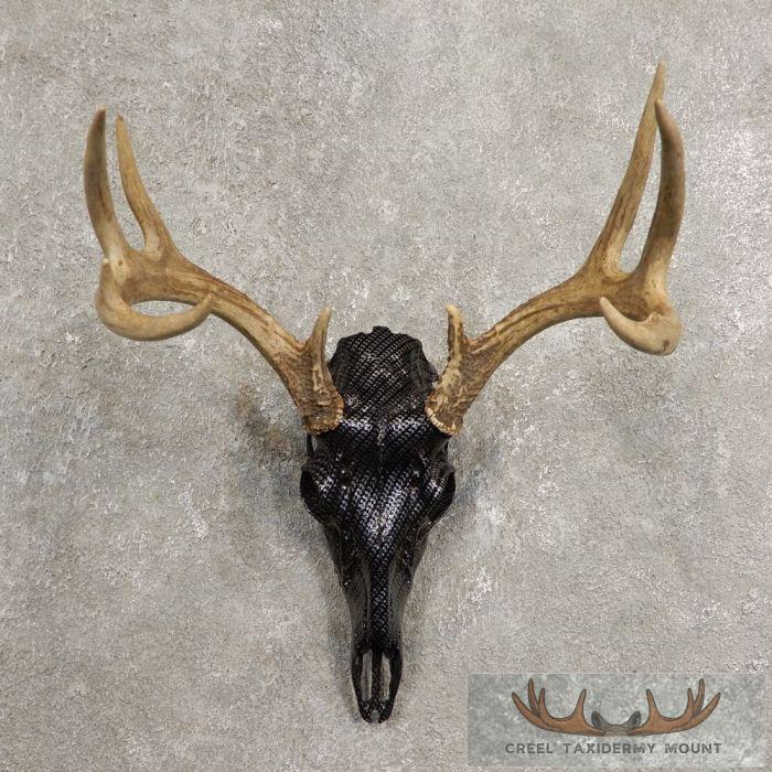 Whitetail Deer Reproduction Skull European Taxidermy Mount For Sale