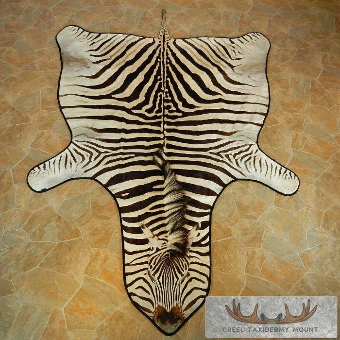 Zebra Rug Head Zebra Full Rug - Creel Taxidermy