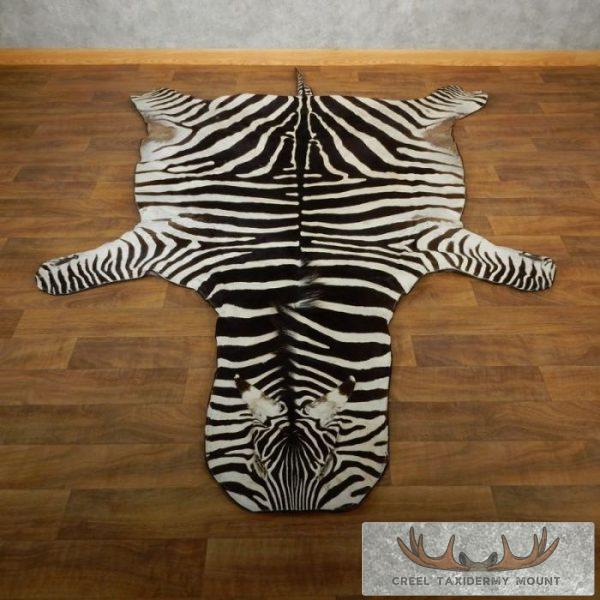 African Zebra Full-Size Taxidermy Rug For Sale