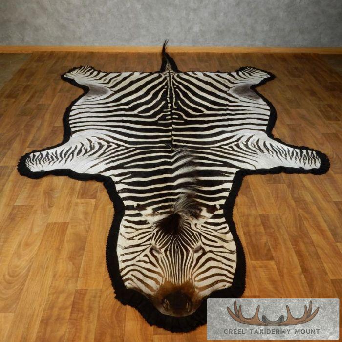 African Zebra Full-Size Taxidermy Rug For Sale