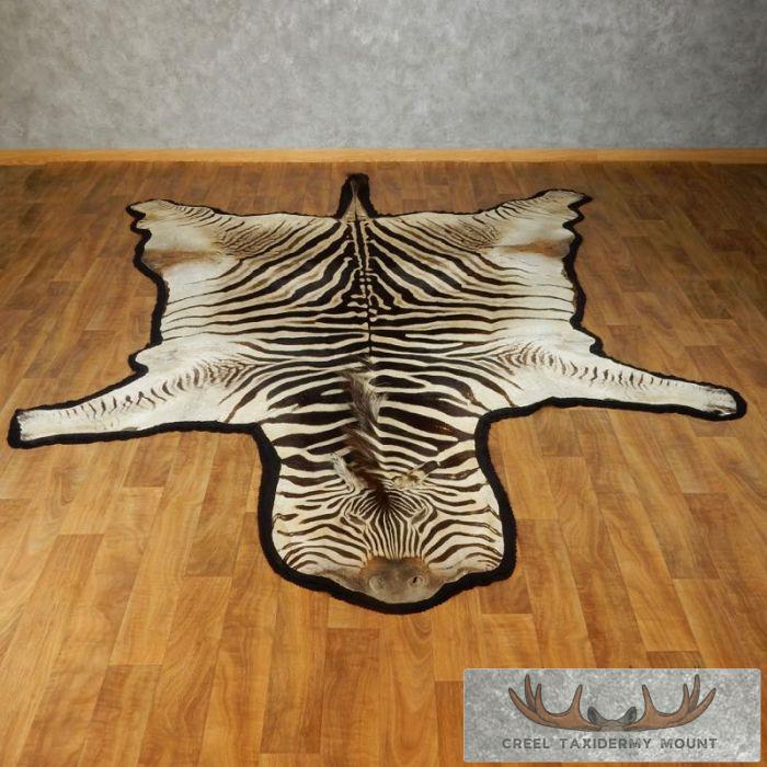 African Zebra Taxidermy Rug Mount For Sale