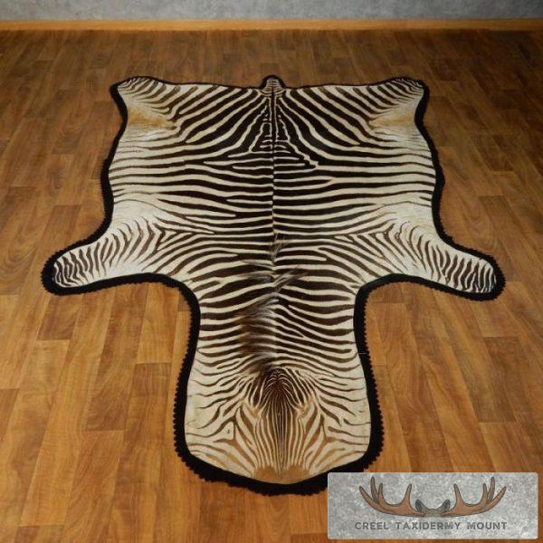 African Zebra Taxidermy Rug Mount For Sale