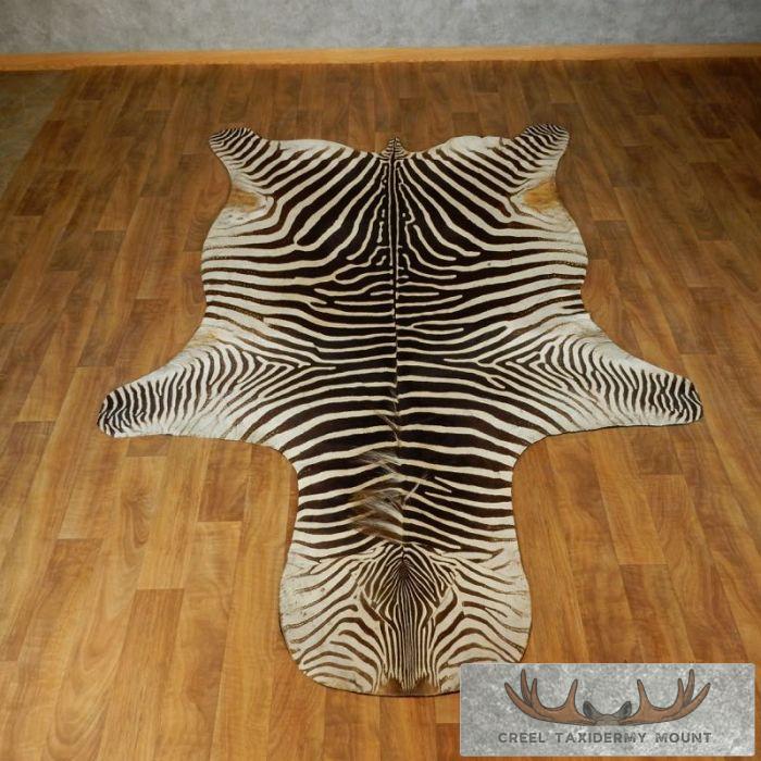 African Zebra Taxidermy Rug Mount For Sale