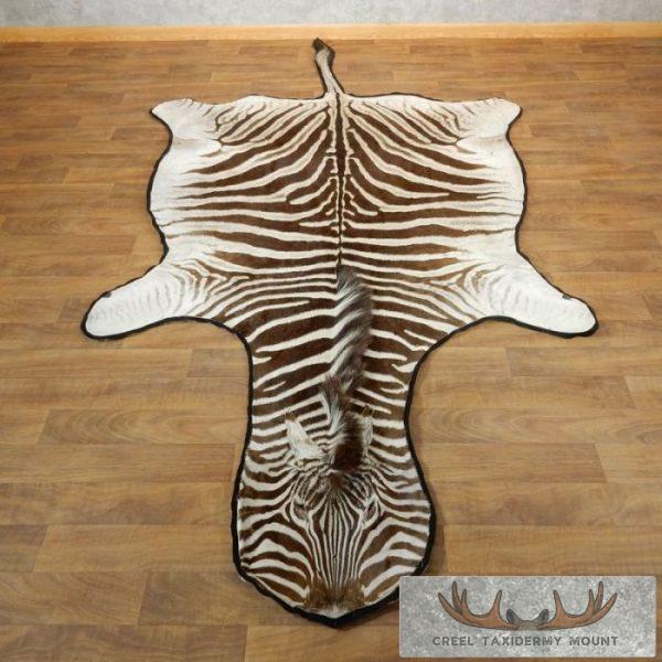 African Zebra Full-Size Taxidermy Rug For Sale